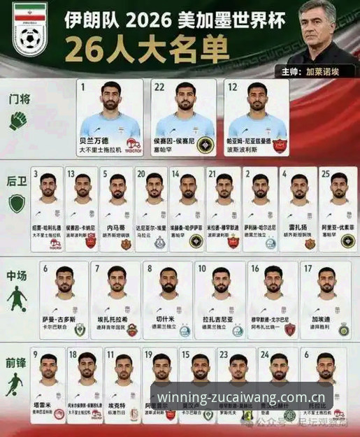 世界杯前的3大隐忧：签证困局、政治风波与冷清的看台